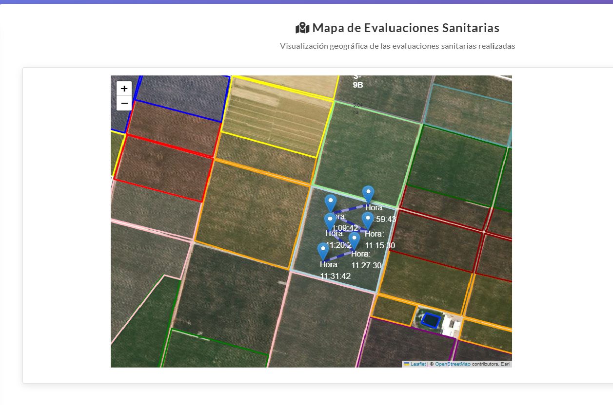 Consultoría